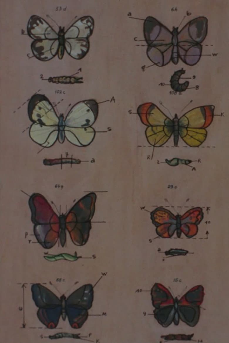 Lekcja anatomii poster