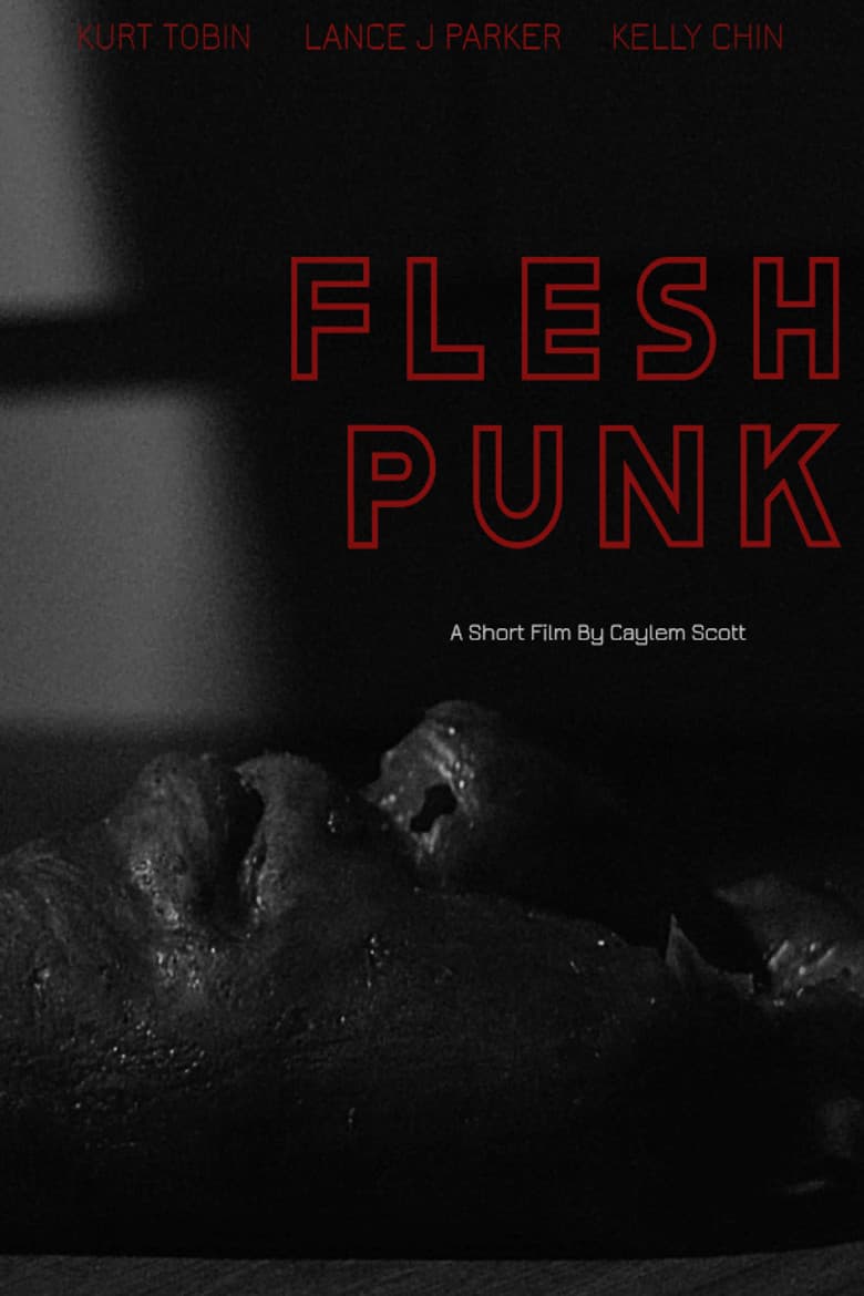 Fleshpunk poster