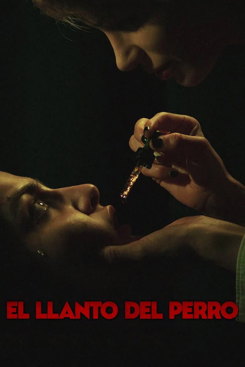 El llanto del perro poster