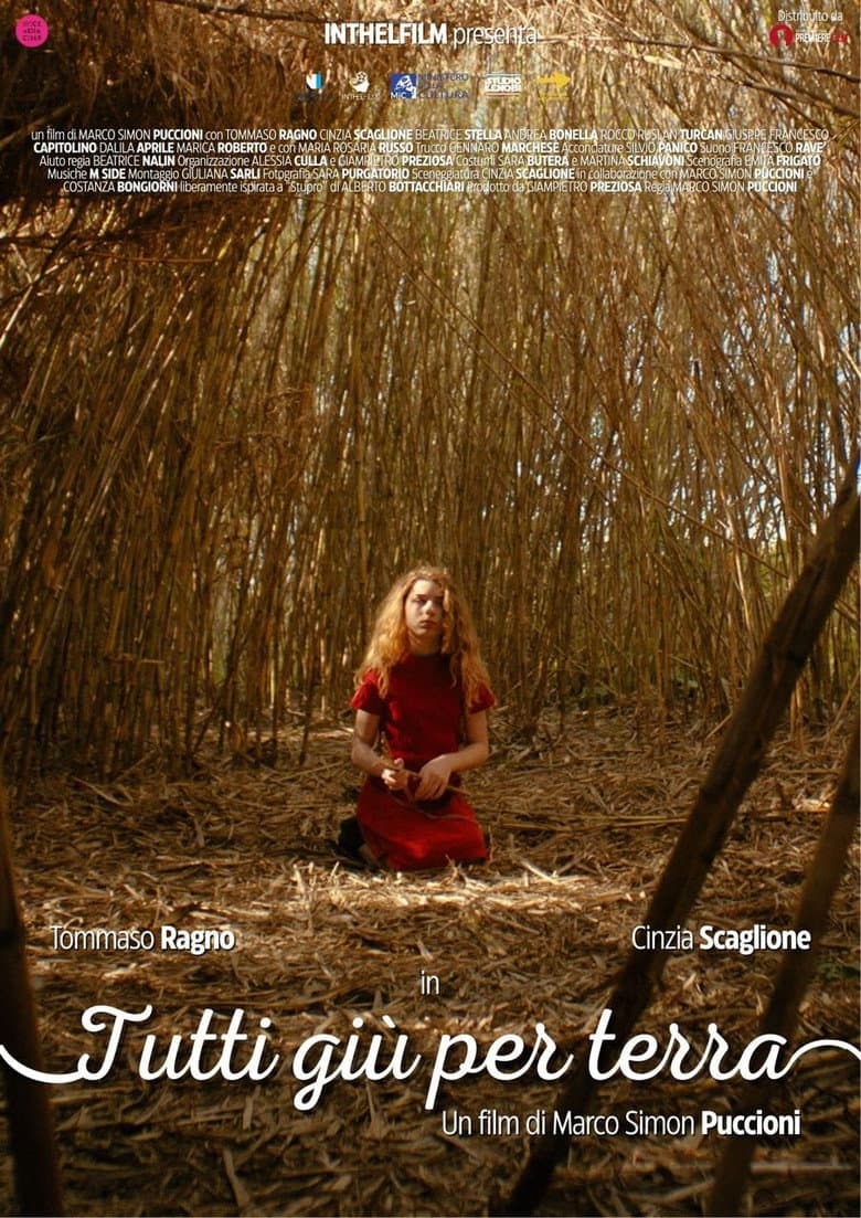 Tutti giù per terra poster