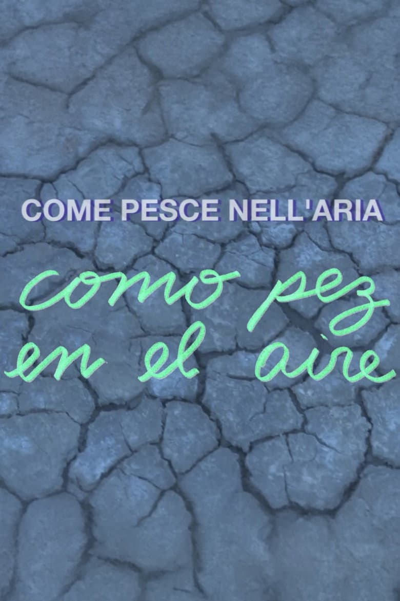 Como pez en el aire poster