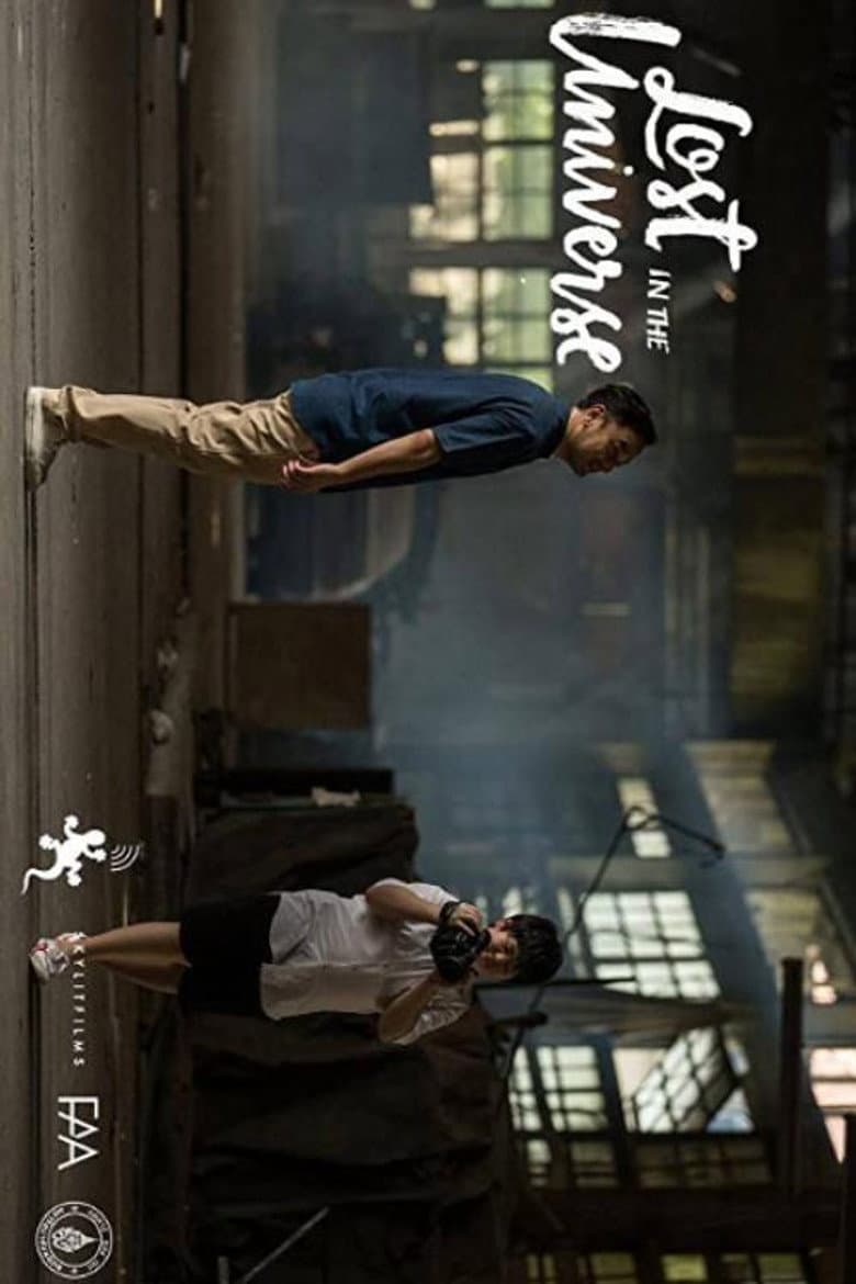 Lost in the Universe poster
