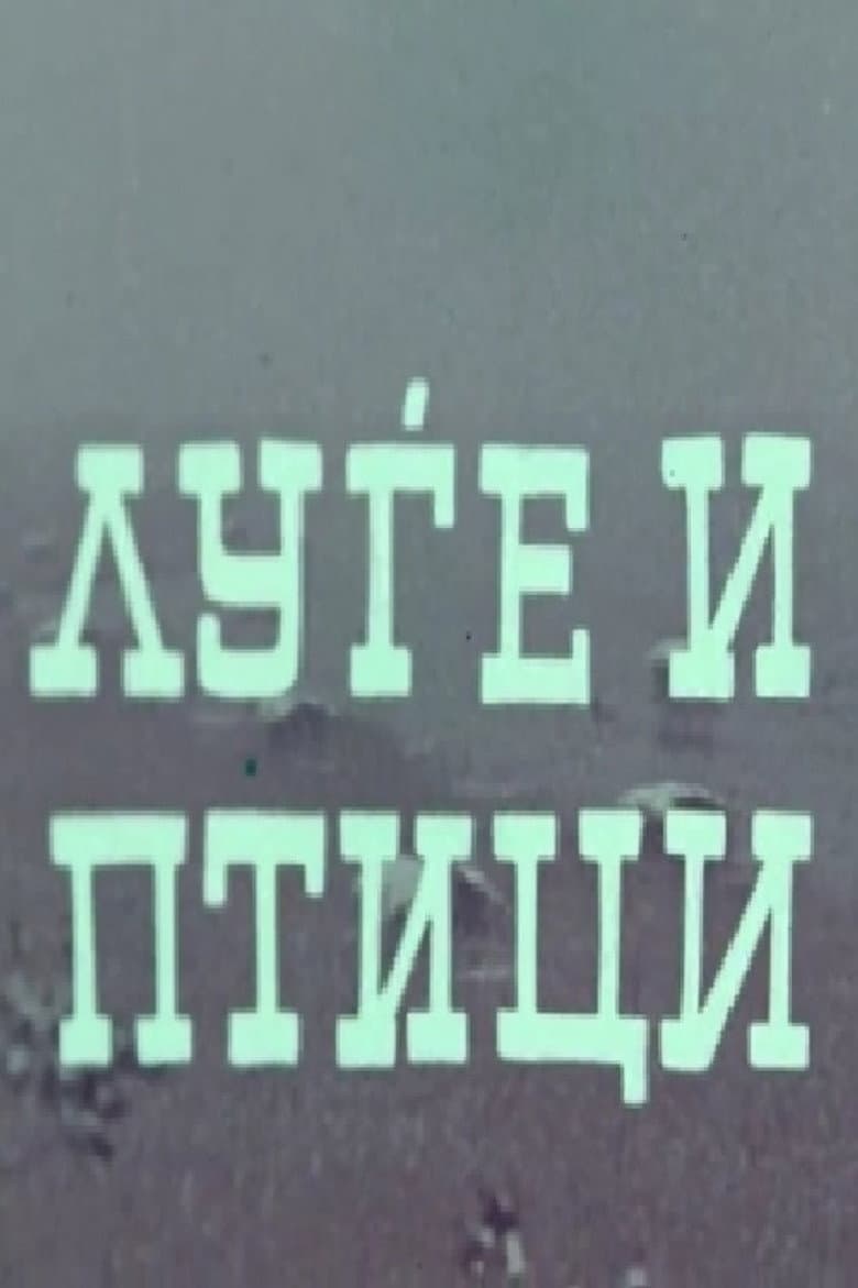 People and Birds poster