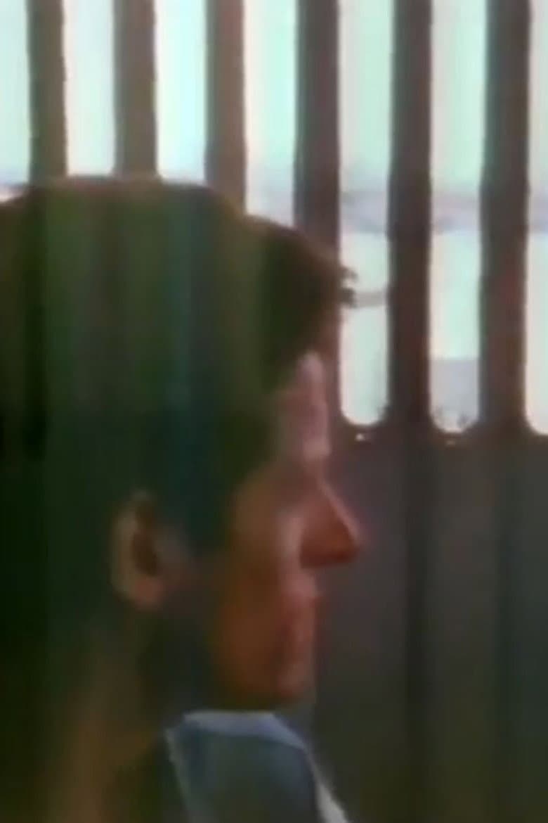 The Blue Nile: Flags and Fences poster