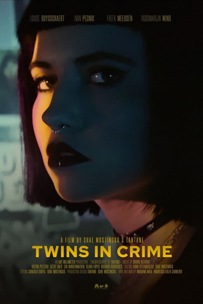 Twins in Crime poster
