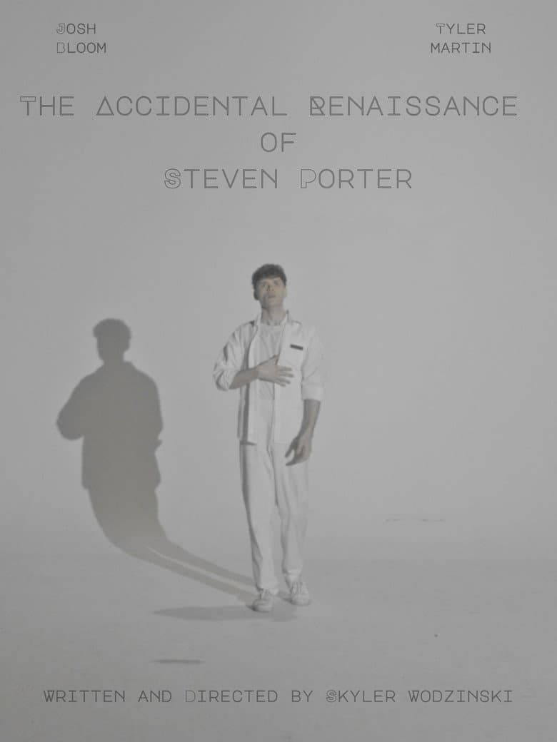 The Accidental Renaissance of Steven Porter poster