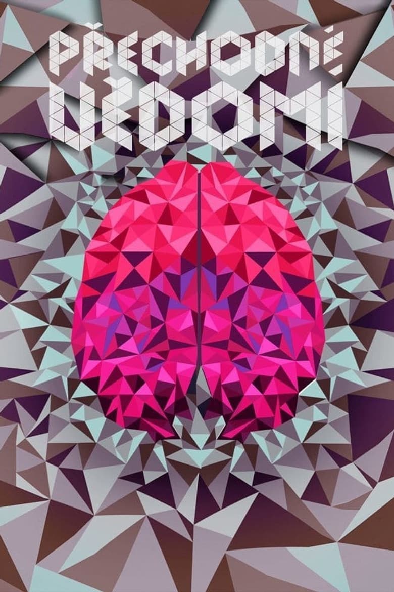 Transient Consciousness poster