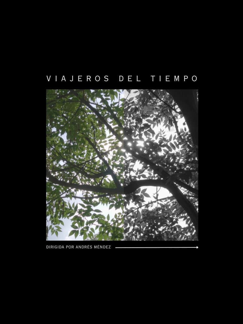 Viajeros del tiempo poster