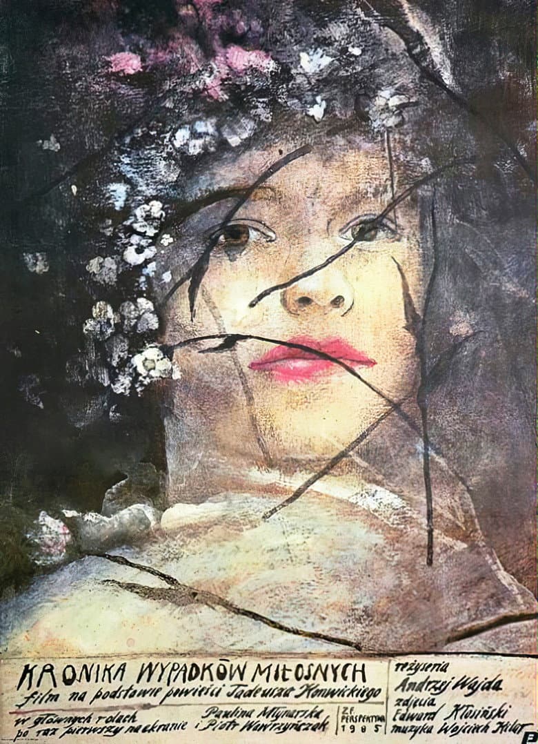 Chronicle of Amorous Accidents poster