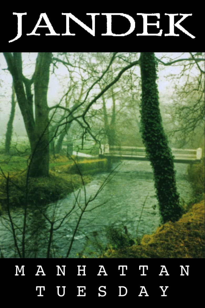 Jandek: Manhattan Tuesday poster