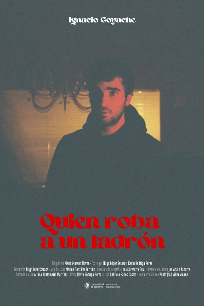 Quien roba a un ladrón poster