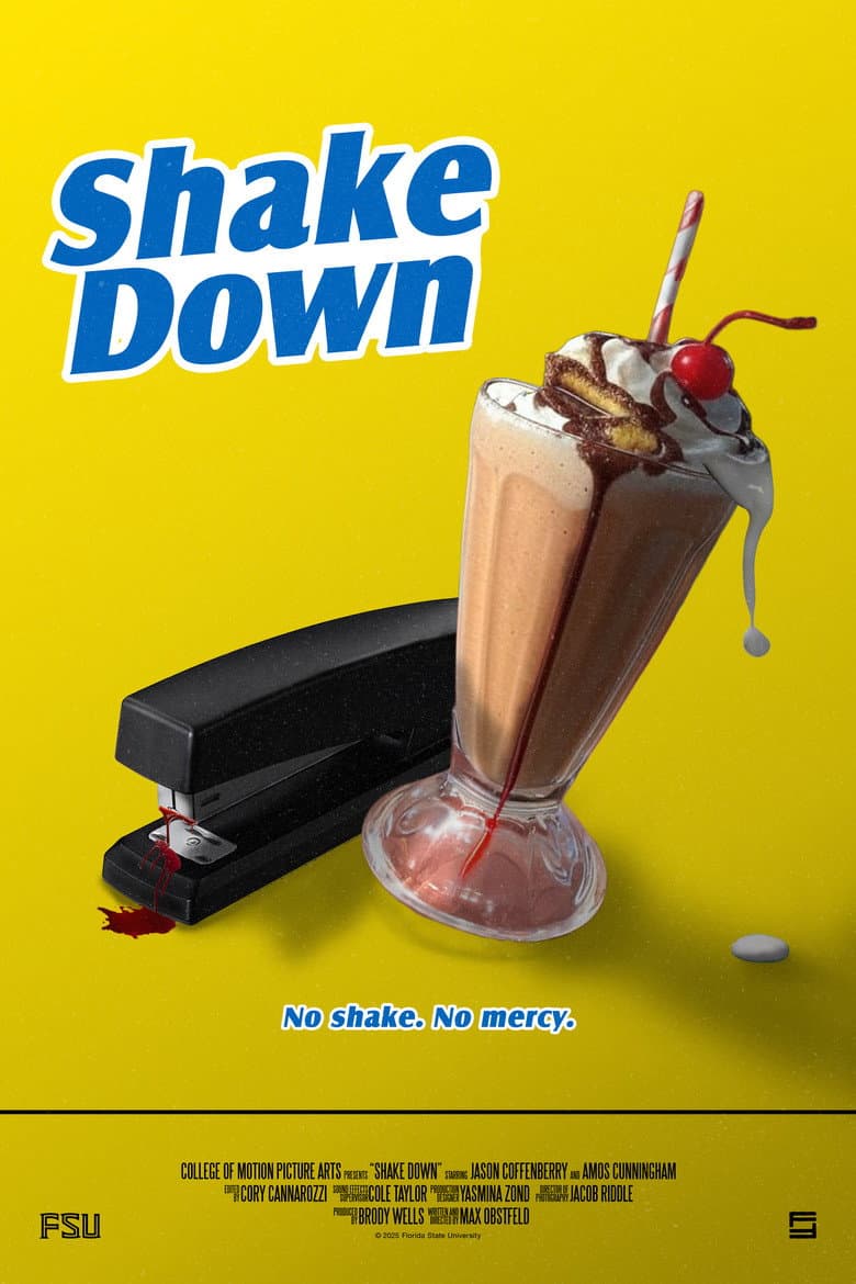 Shake Down poster