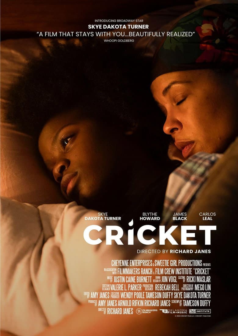 Cricket poster