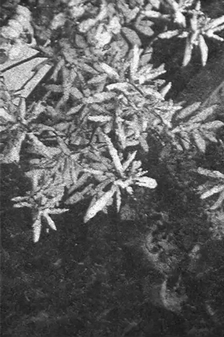 Configuration in Black and White poster
