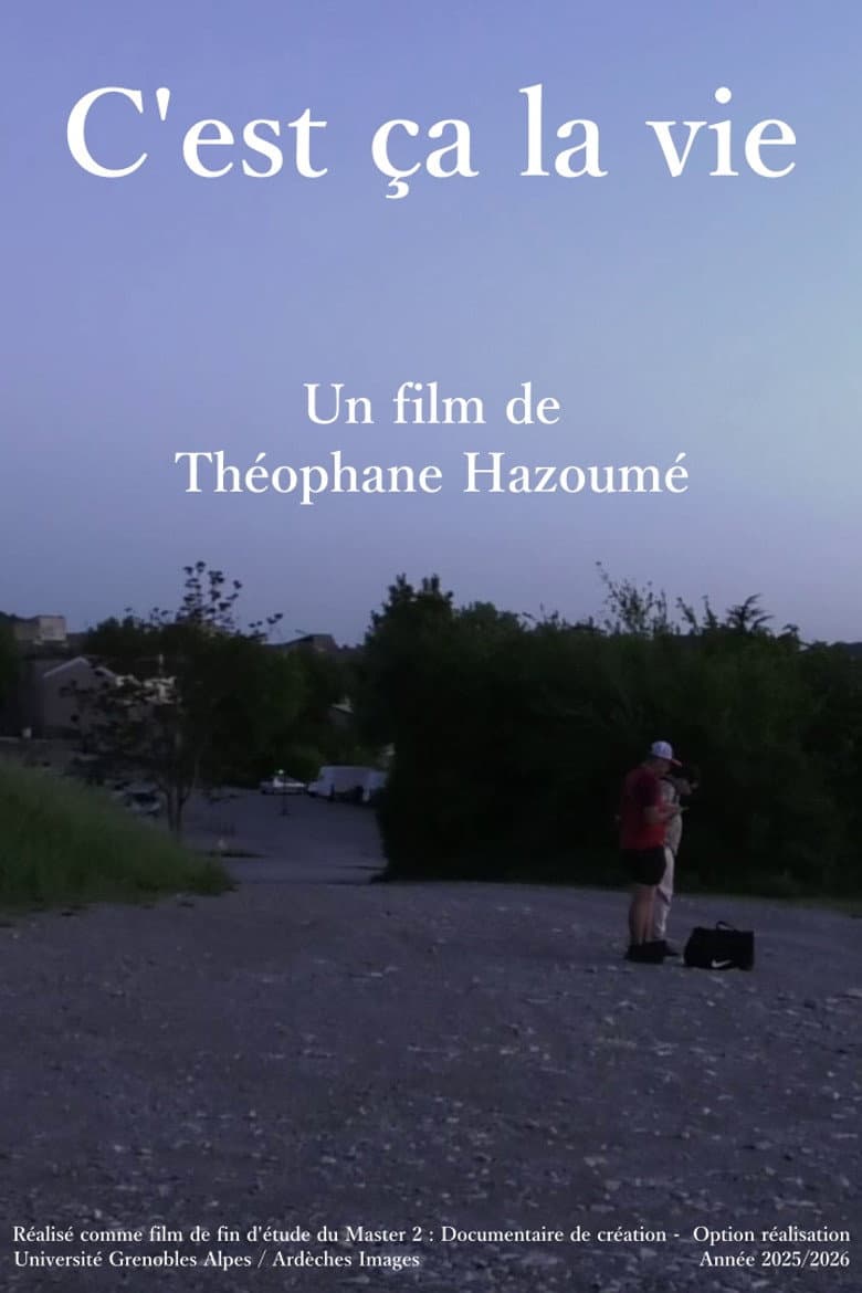 C'est ça la vie poster