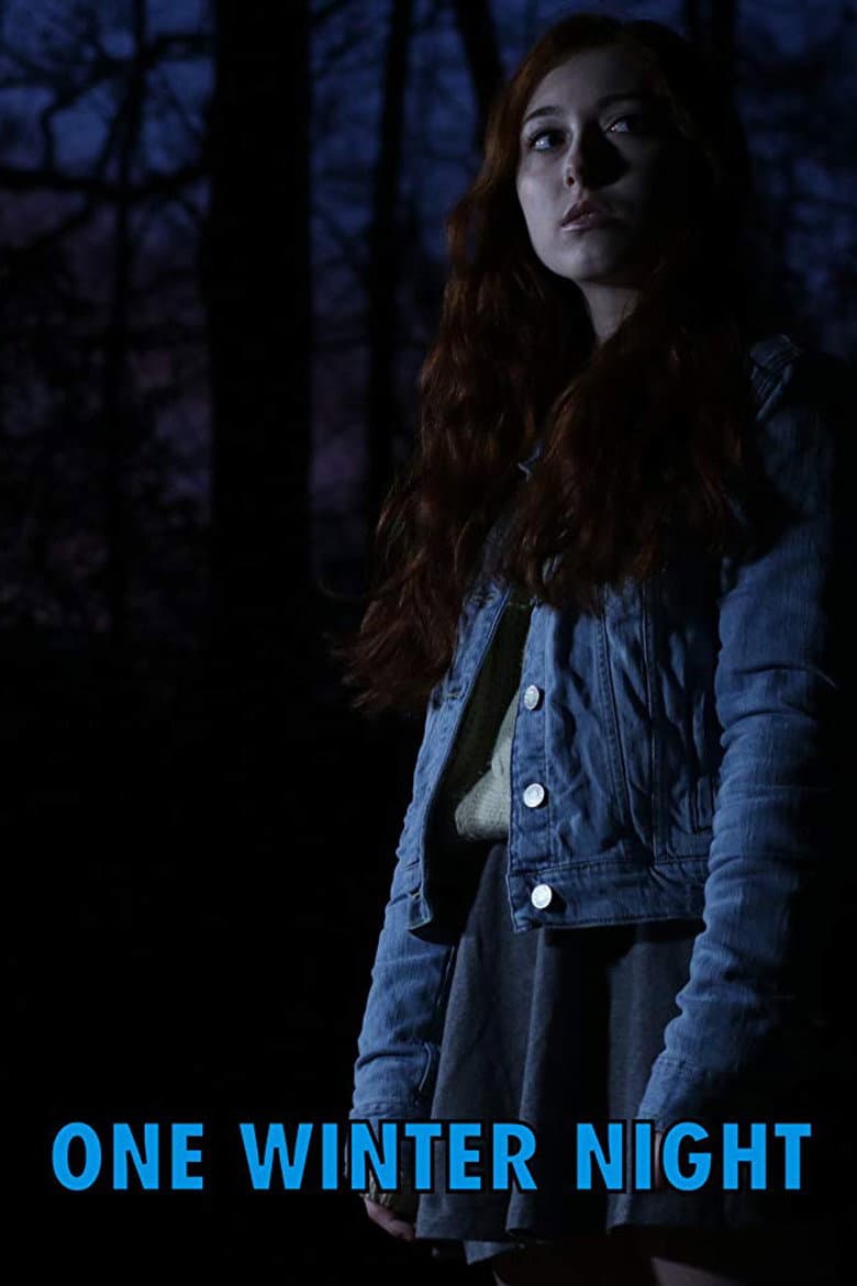One Winter Night poster