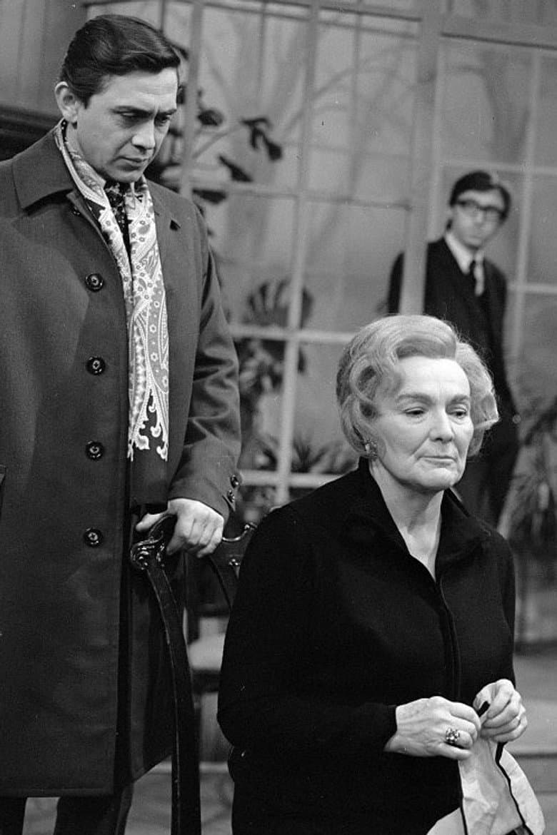 Bláznova smrt poster