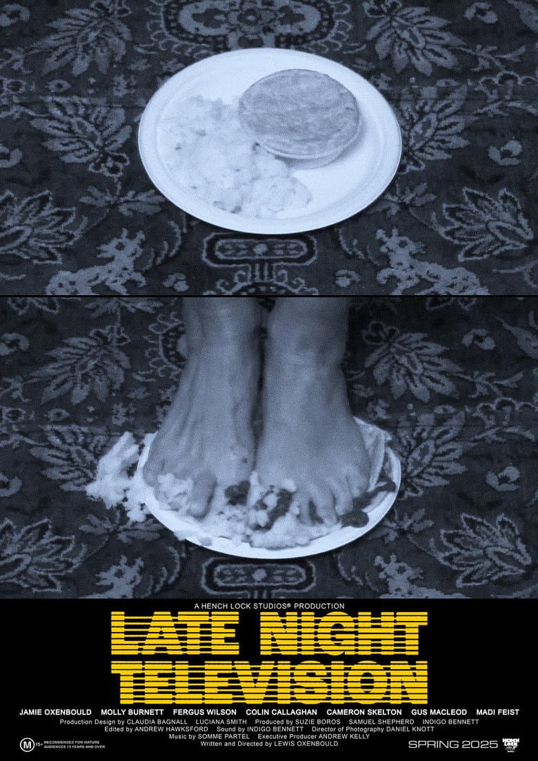Late Night Television poster