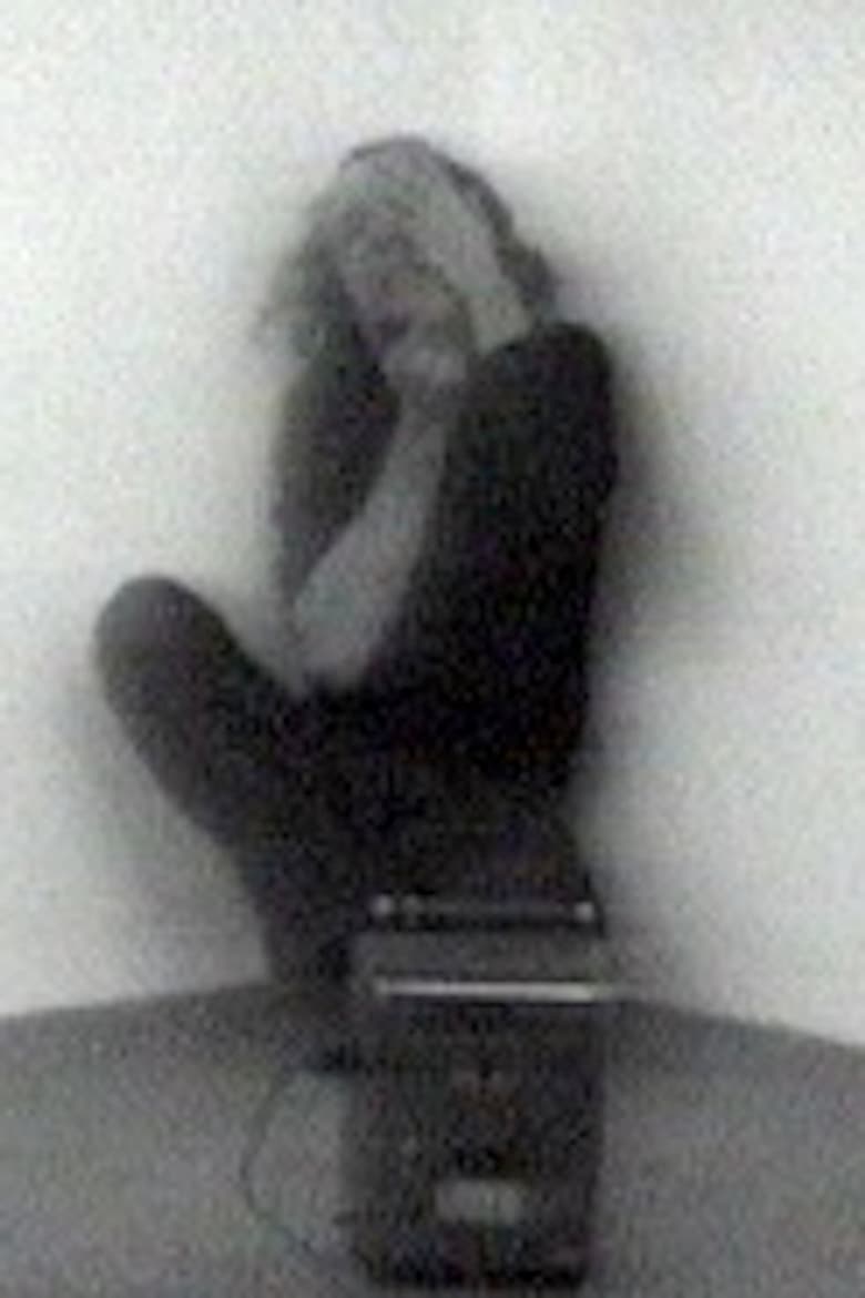 Visions of a Disappearance poster