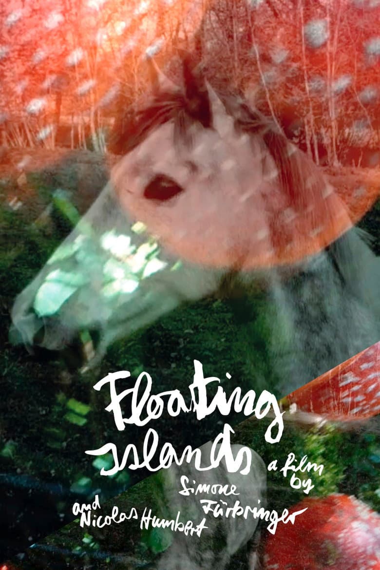 Floating Islands poster