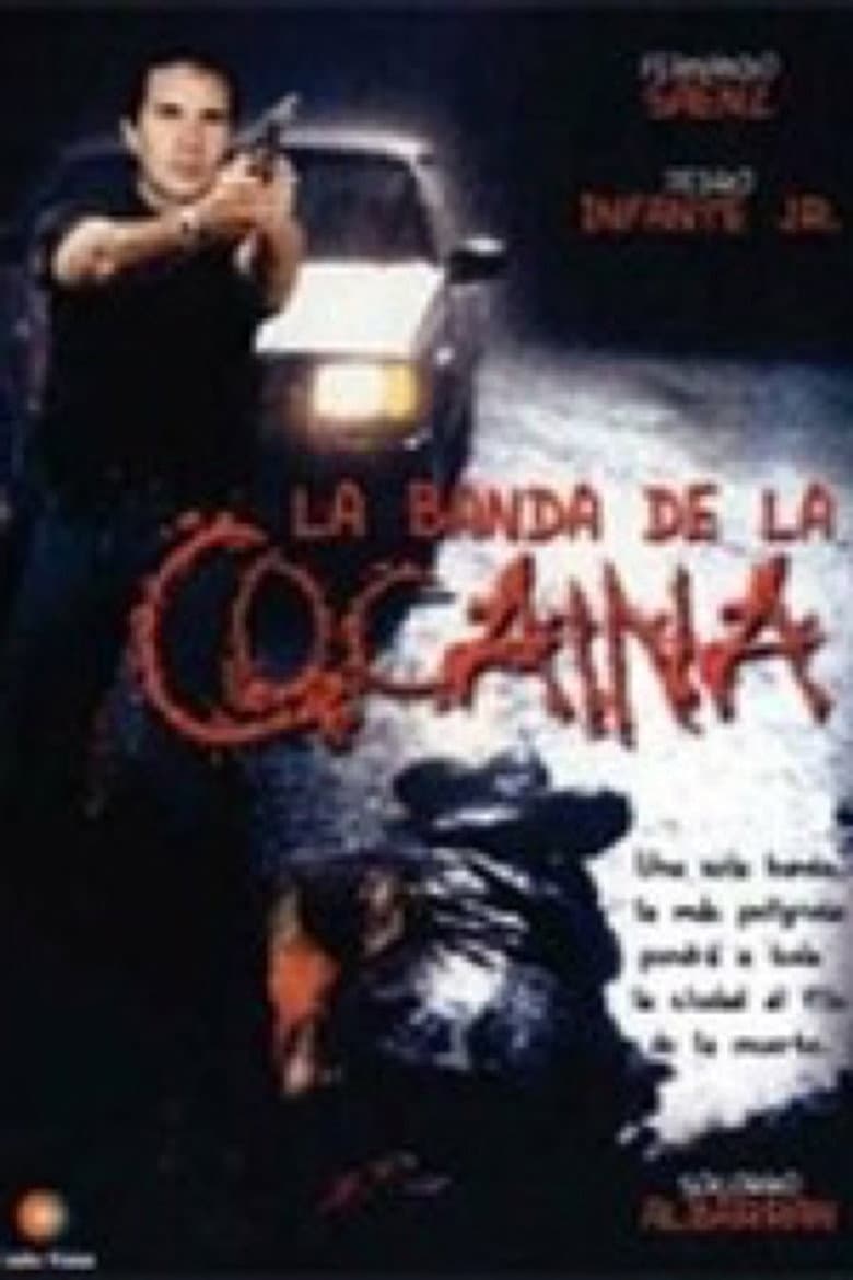 Un ingeniero en la capital poster