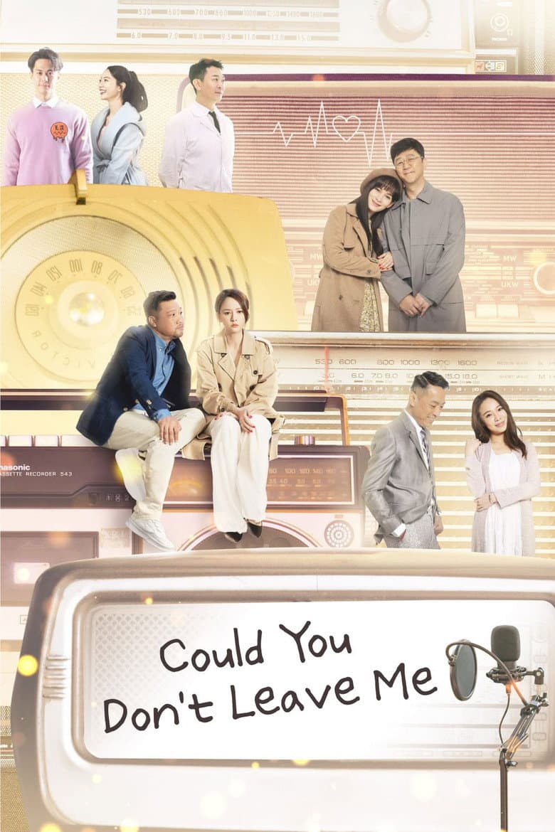 Could You Don't Leave Me poster