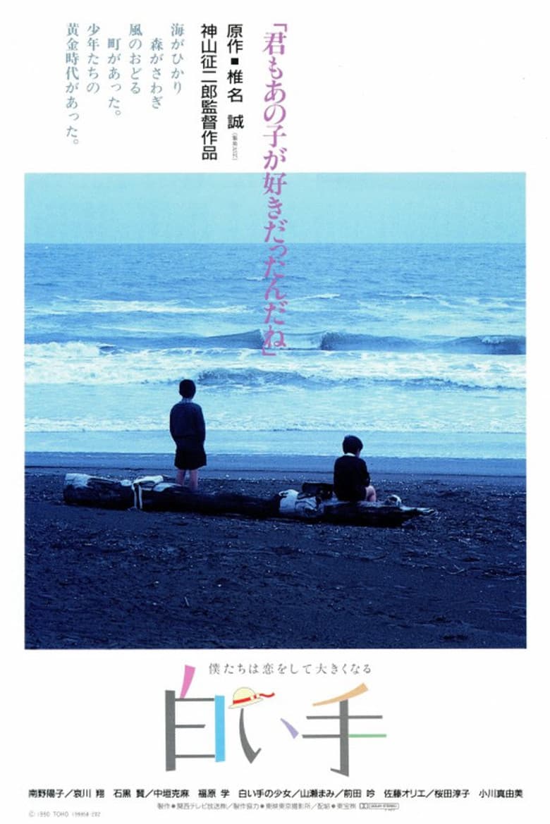 The Pale Hand poster