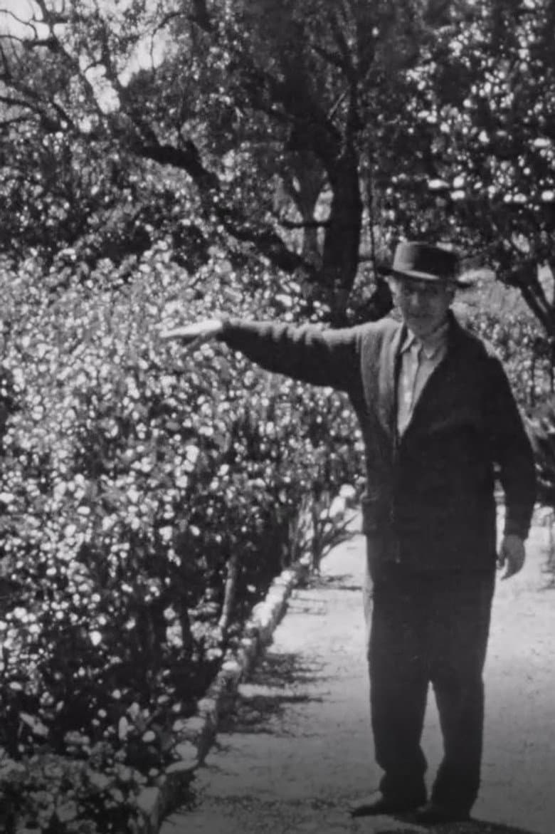 Chagall dans son jardin a Saint-Paul-de-Vence poster