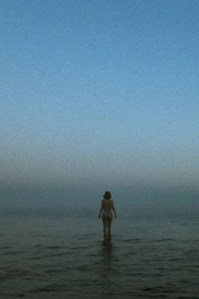 I'll Probably Never See You Again poster