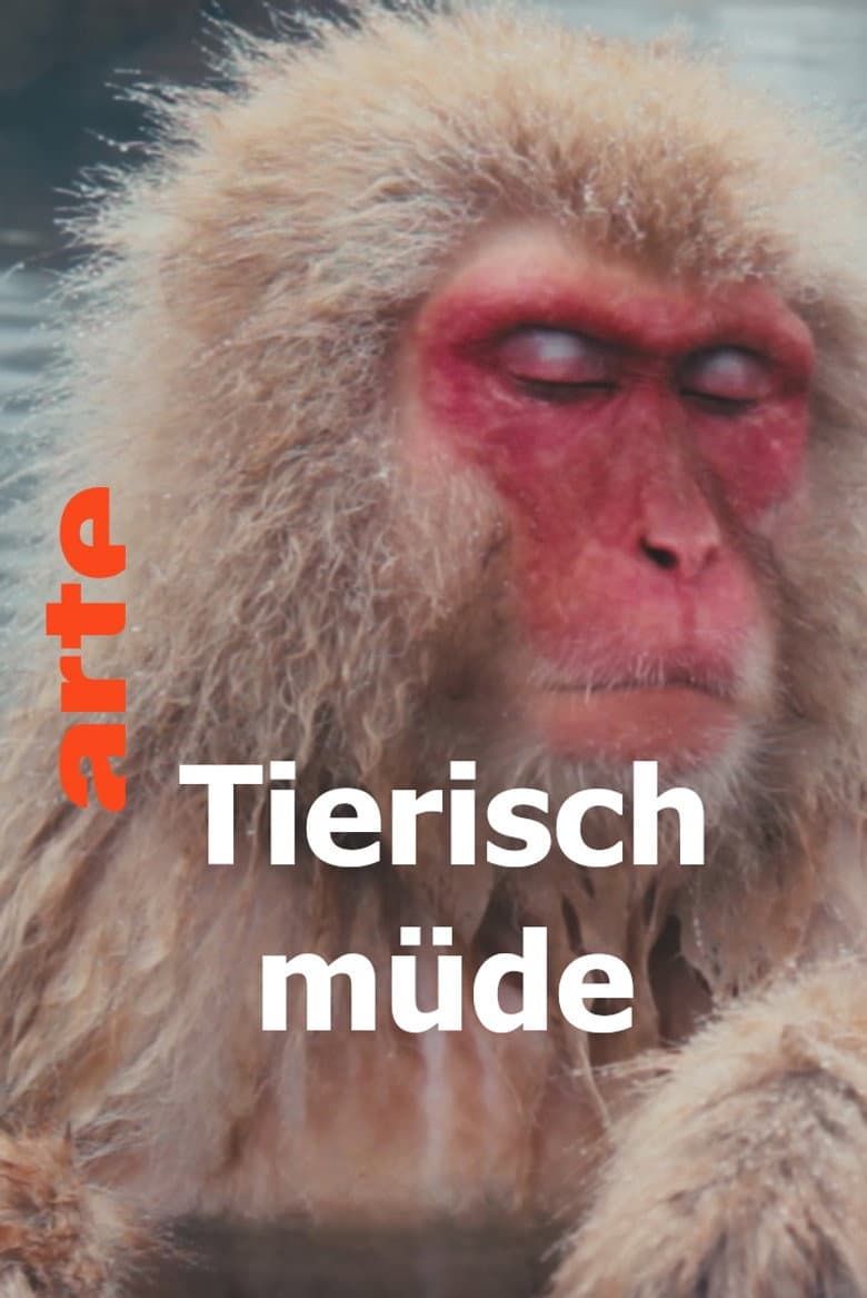 Tierisch müde - Das Rätsel Schlaf poster